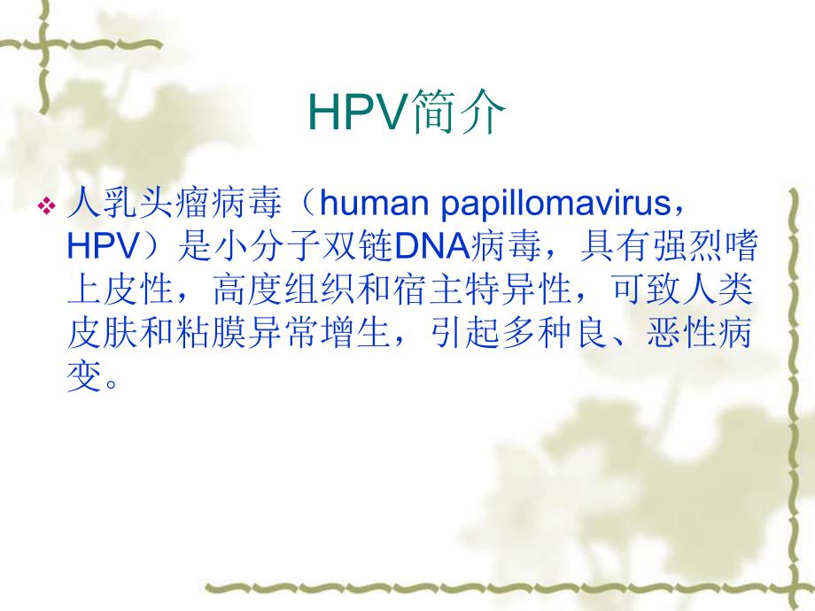 HPV感染的诊治进展.ppt_第2页