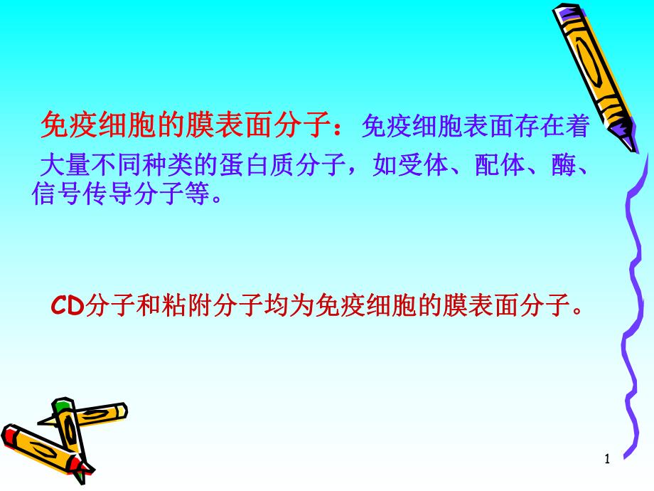 CD分子和粘附分子【PPT】 .ppt_第1页