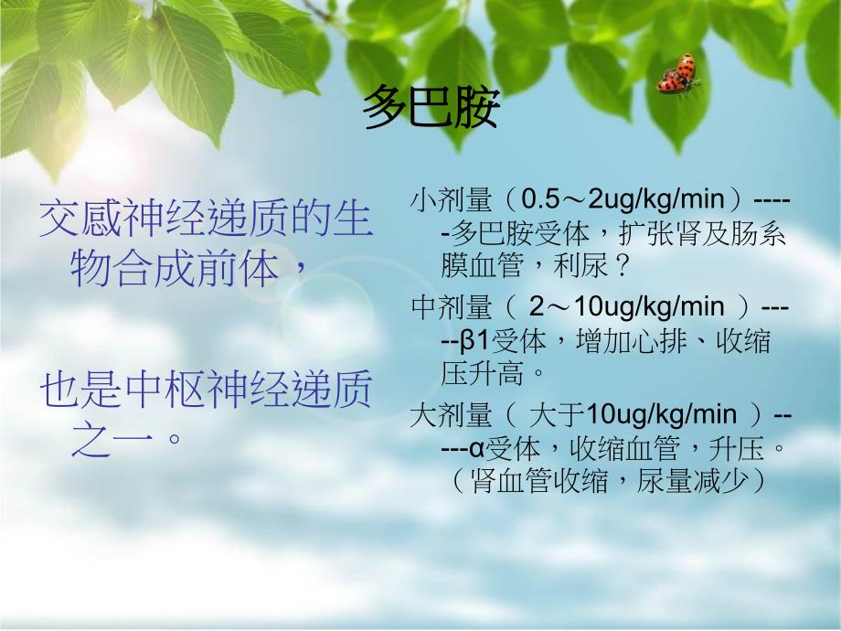 ICU常见药物的配置与注意事项.ppt_第3页