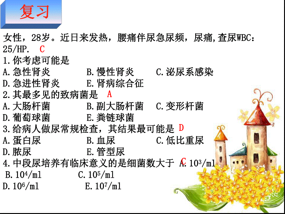 3慢性肾小球肾炎整理.ppt_第2页