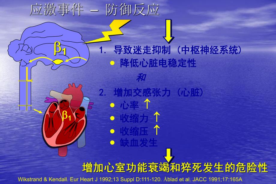 B他阻滞剂在心血管疾病中的临床应用.ppt_第3页