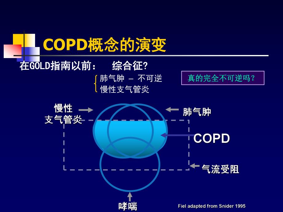 COPD一种伴有异常炎症反应的多因素构成的疾病.ppt_第3页