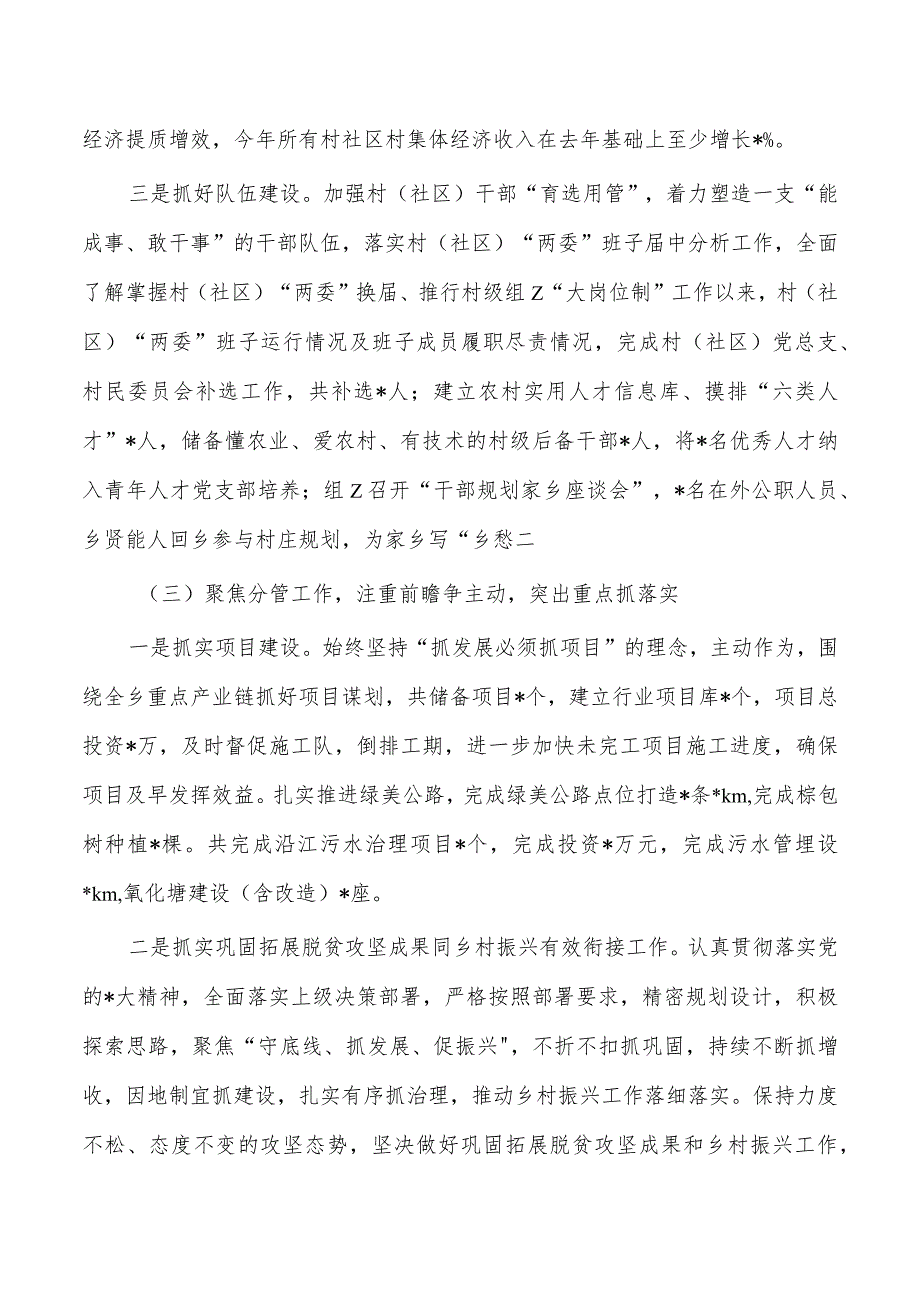 乡镇2023年度个人述职总结.docx_第2页