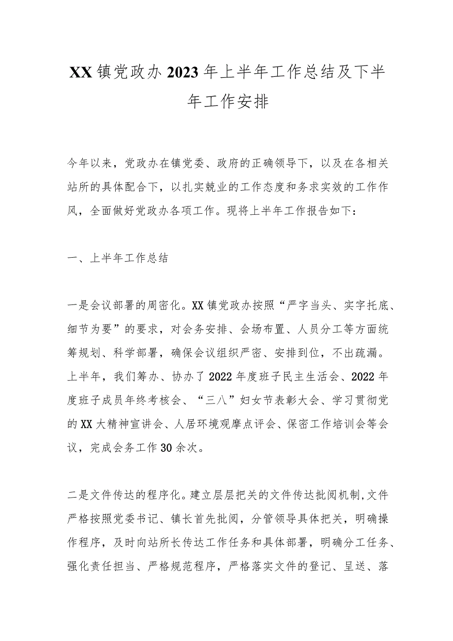 XX镇党政办2023年上半年工作总结及下半年工作安排.docx_第1页