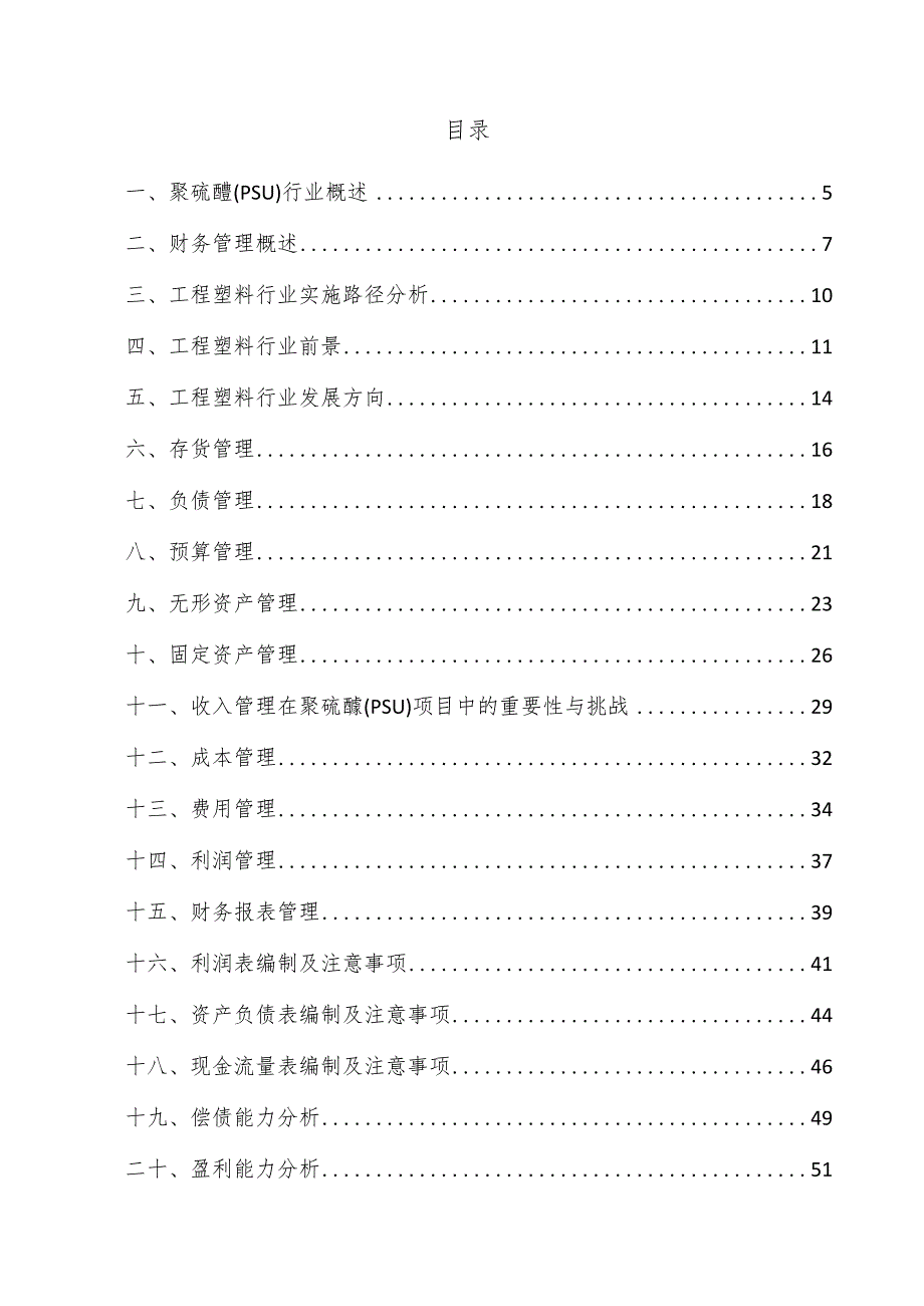 聚硫醚（PSU）项目财务管理方案.docx_第3页