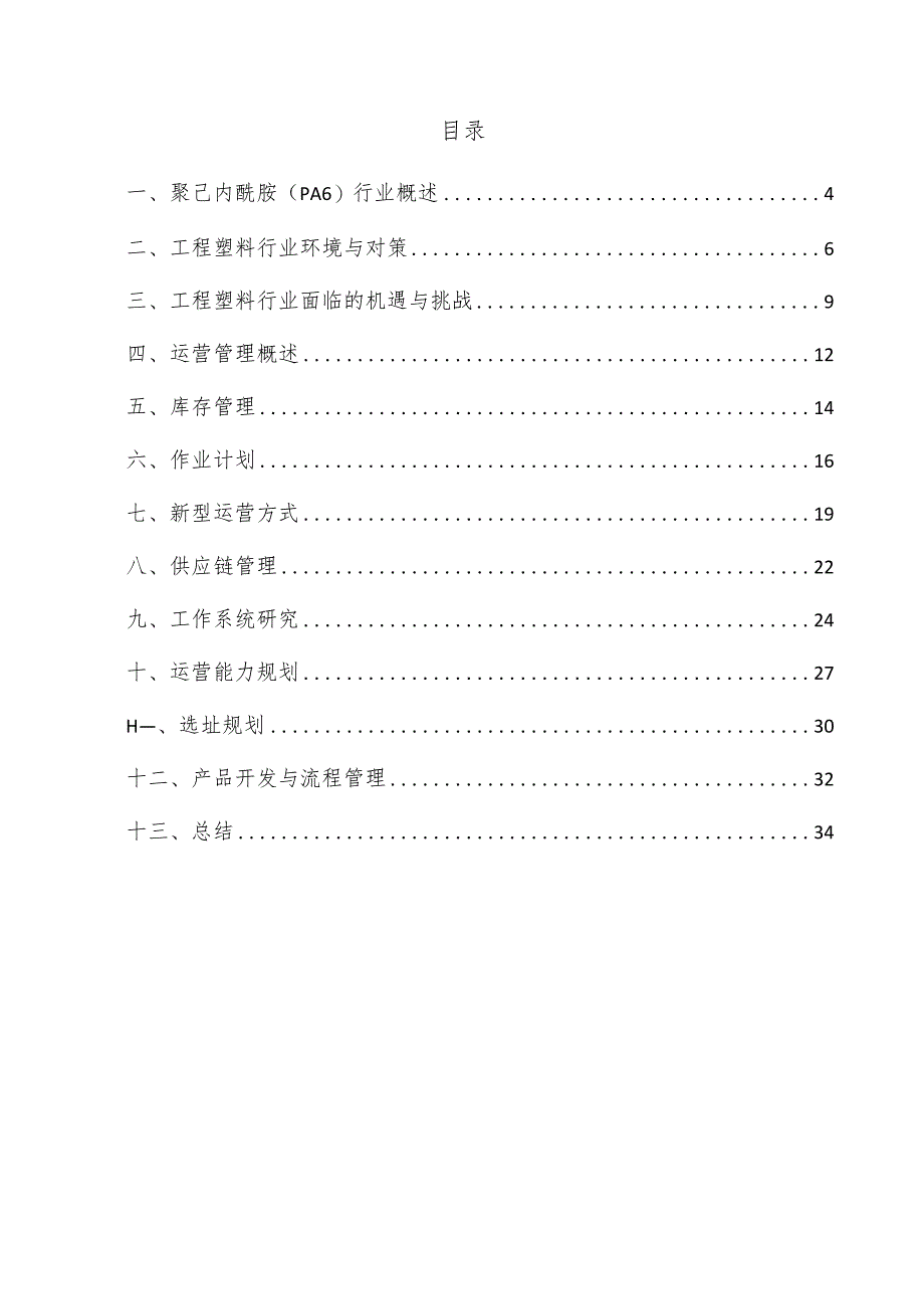 聚己内酰胺（PA6）项目运营管理方案.docx_第3页