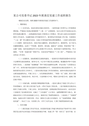 某公司党委书记2023年抓基层党建工作述职报告.docx