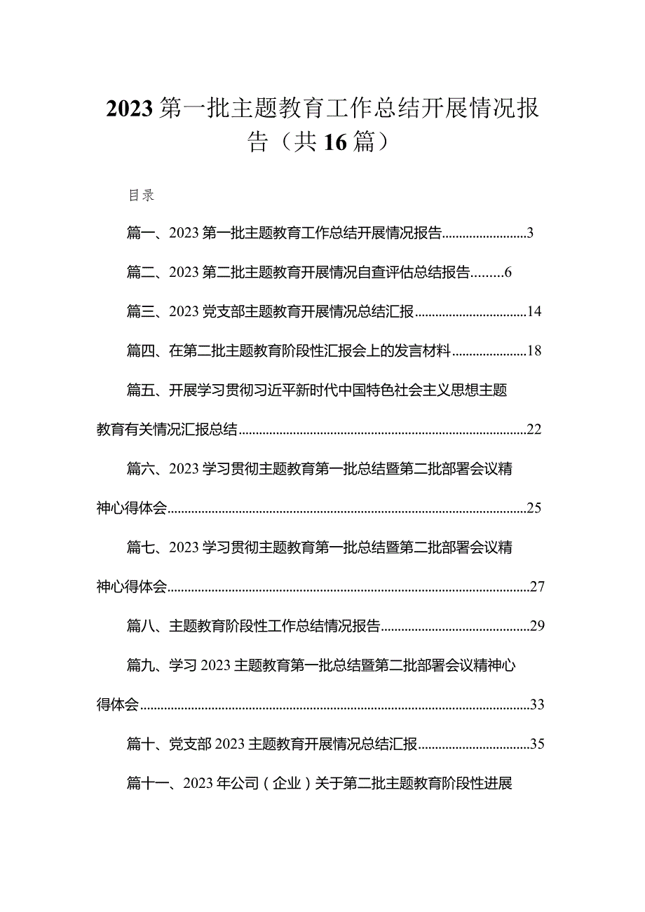 2023第一批专题教育工作总结开展情况报告精选（共16篇）.docx_第1页