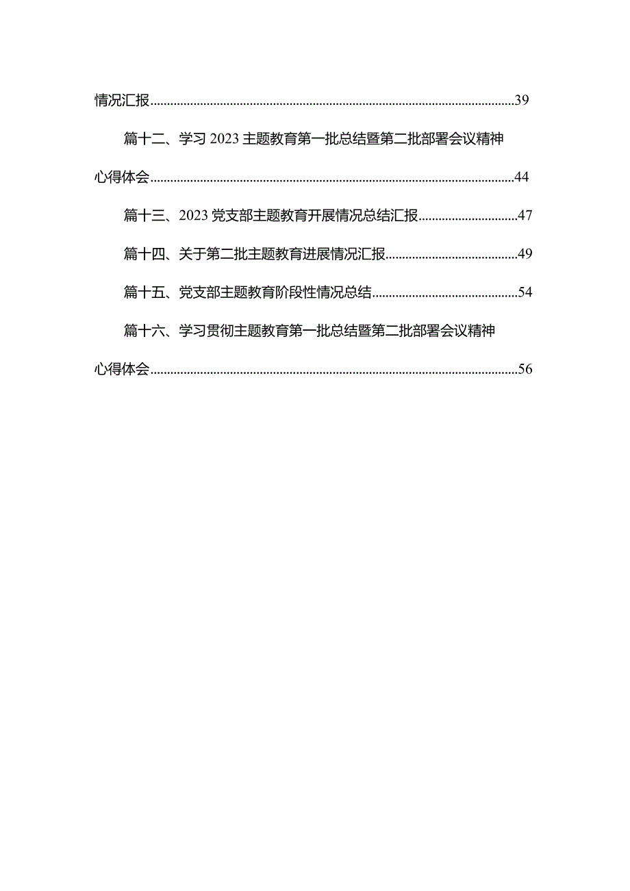 2023第一批专题教育工作总结开展情况报告精选（共16篇）.docx_第2页