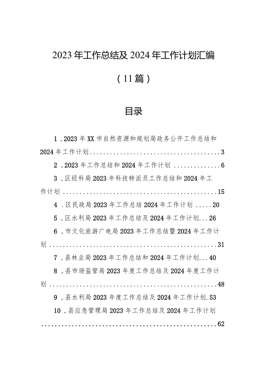 2023年工作总结及2024年工作计划汇编（11篇）.docx_第1页