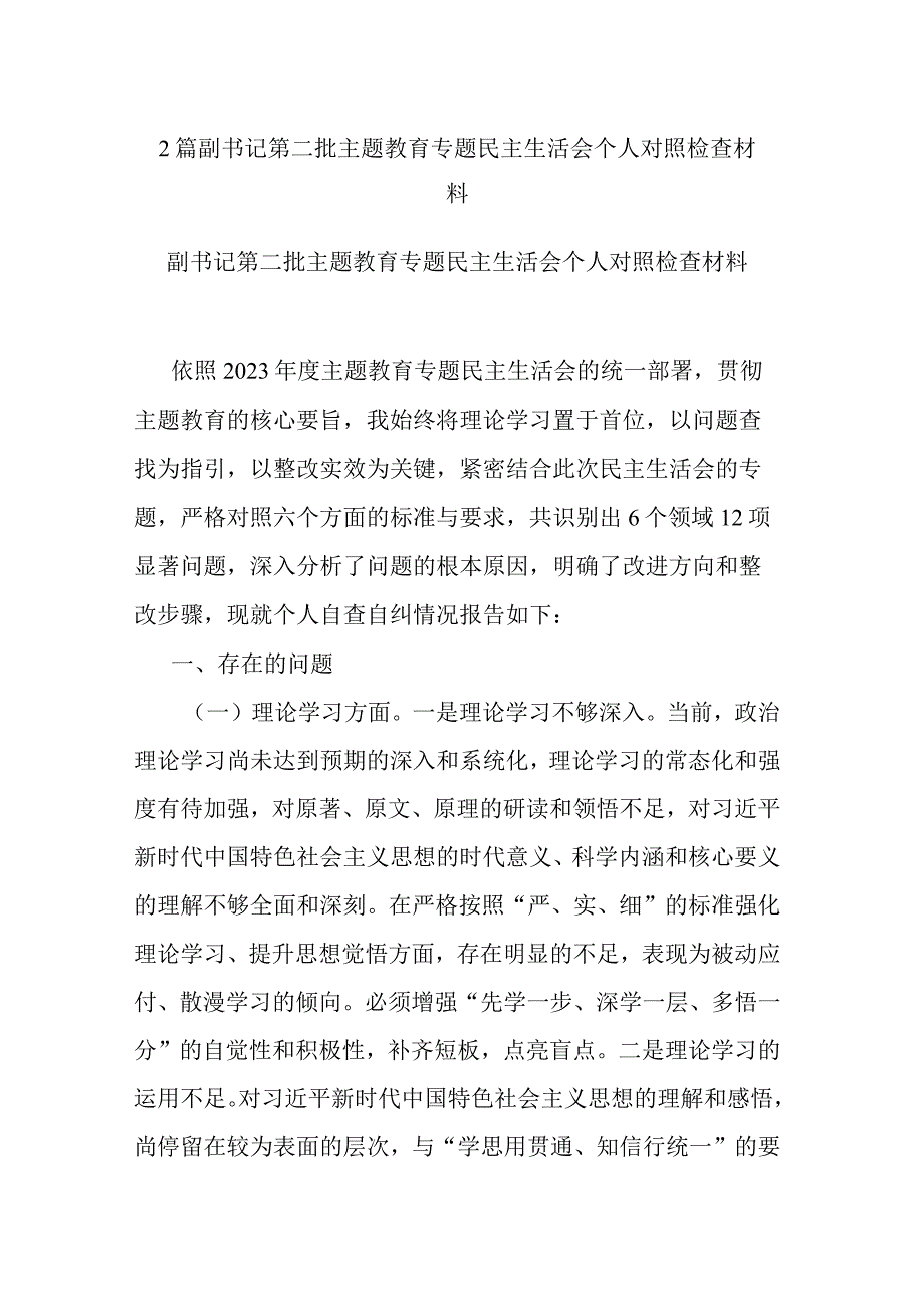 2篇副书记第二批主题教育专题检查材料.docx_第1页