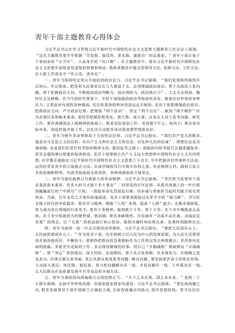 青年干部主题教育心得体会.docx_第1页