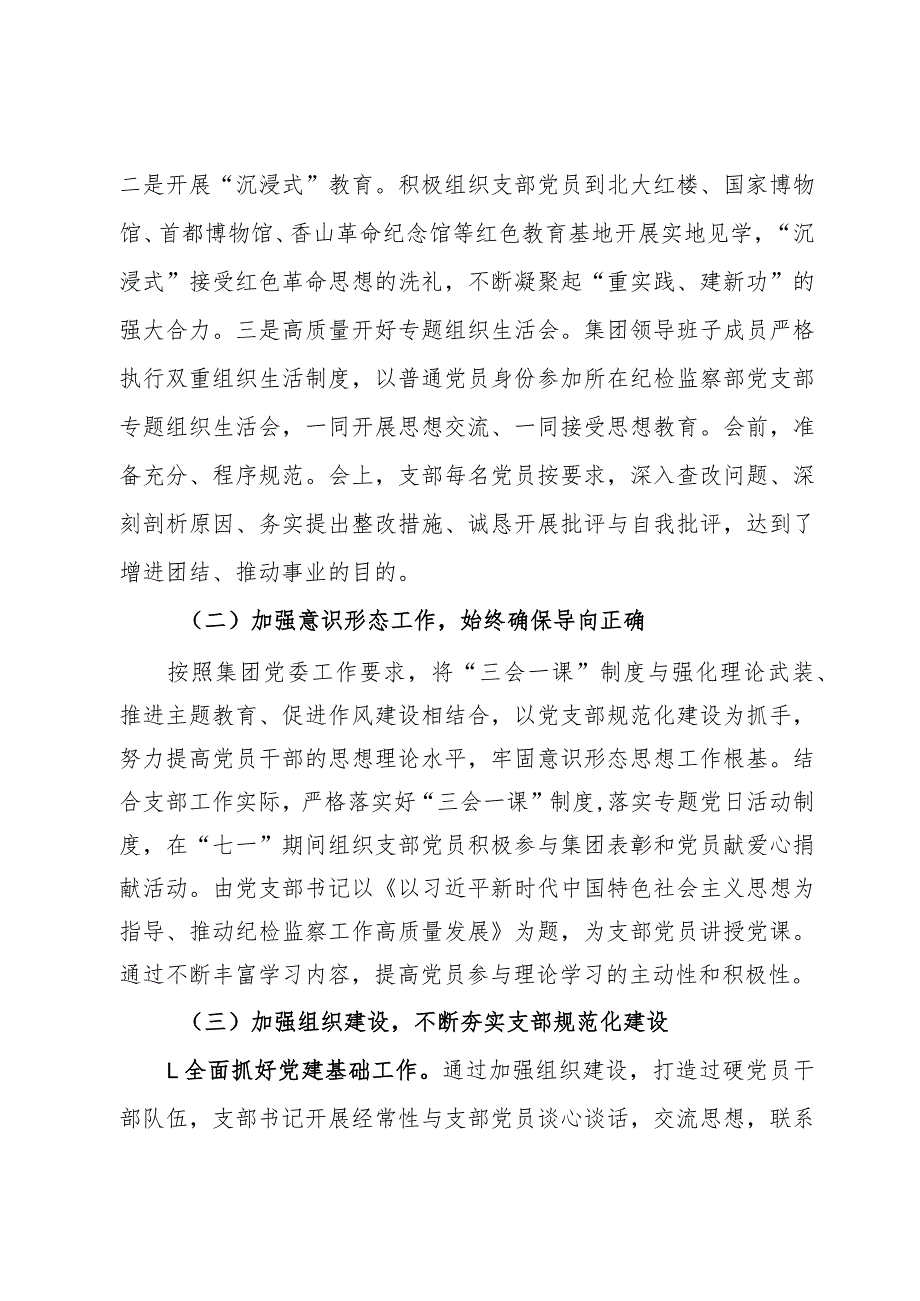 国企纪检监察部党支部全面从严治党（党建）工作报告.docx_第2页