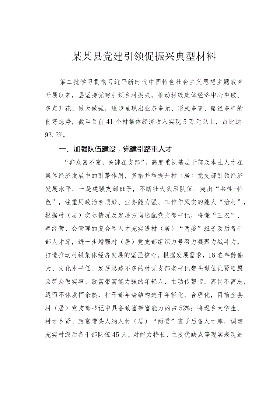 某某县党建引领促振兴典型材料.docx_第1页