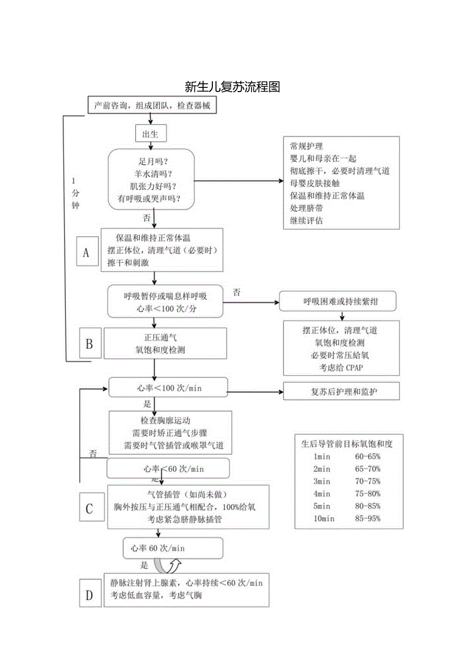 新生儿复苏流程图.docx_第1页