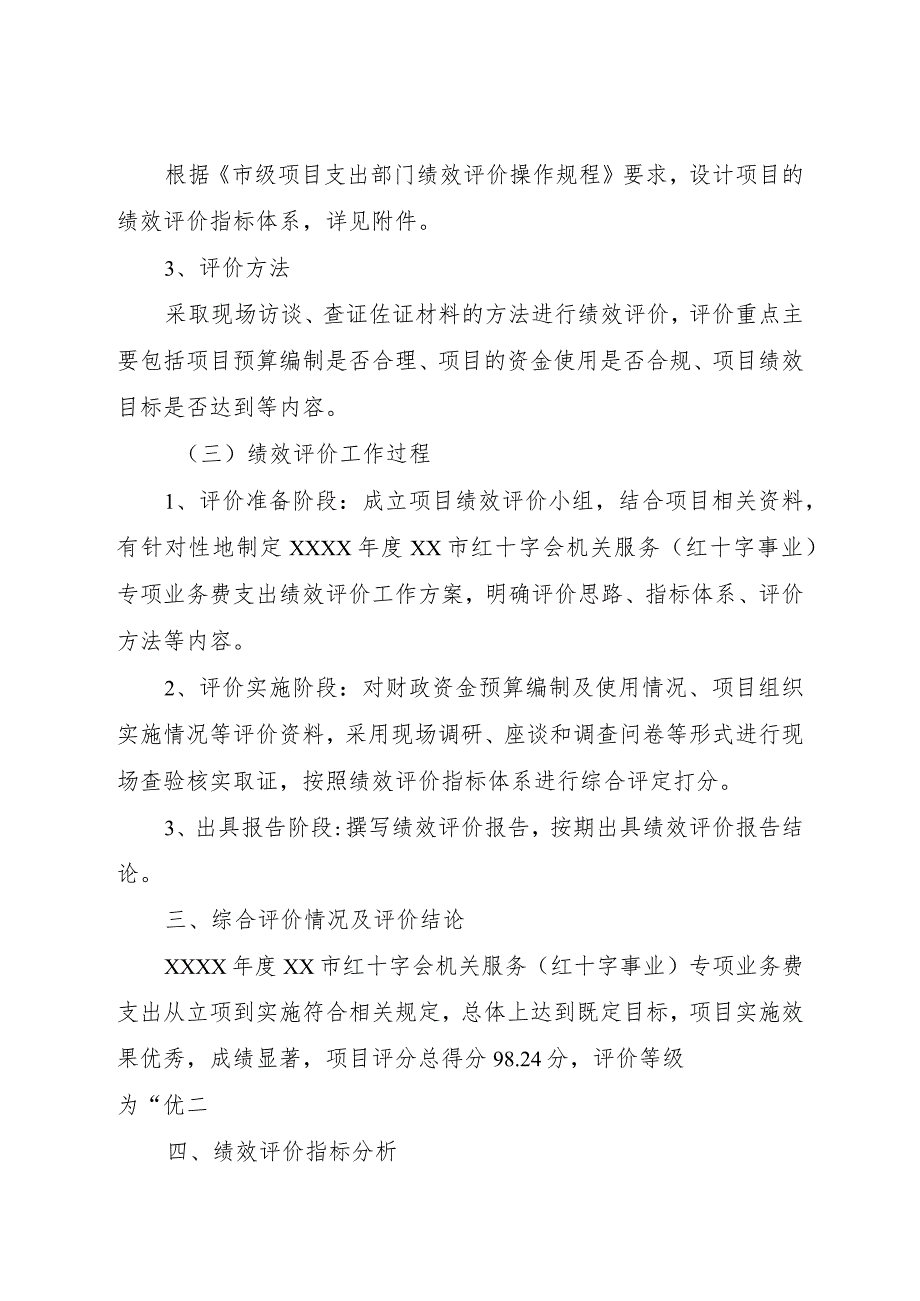 红十字会专项业务费支出部门绩效评价报告.docx_第3页