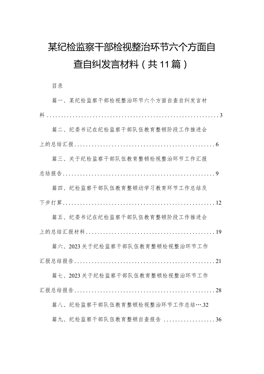 （11篇）某纪检监察干部检视整治环节六个方面自查自纠发言材料范文.docx_第1页