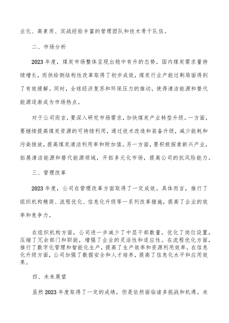 煤炭公司年度总结报告模板.docx_第2页