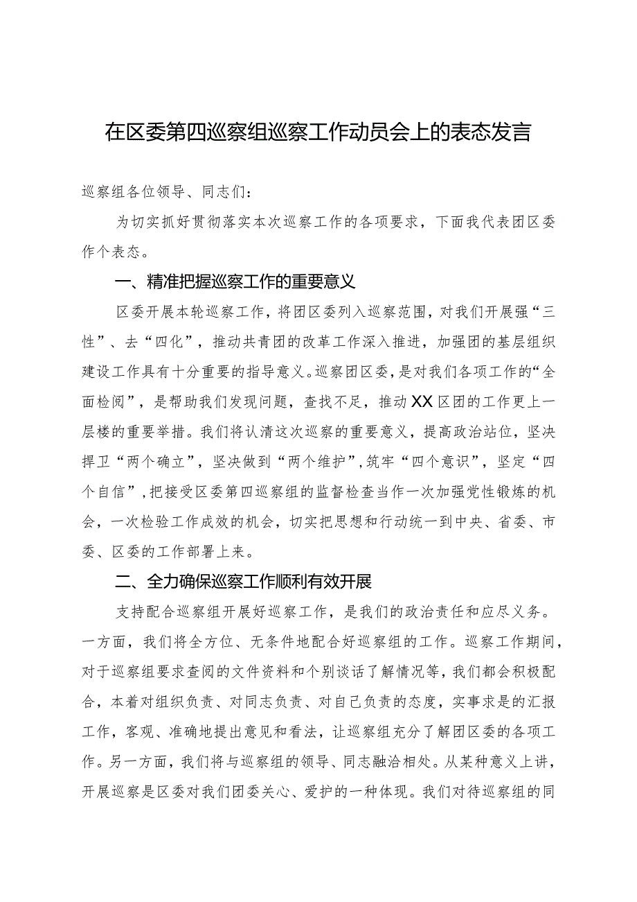 团区委巡察表态发言.docx_第1页