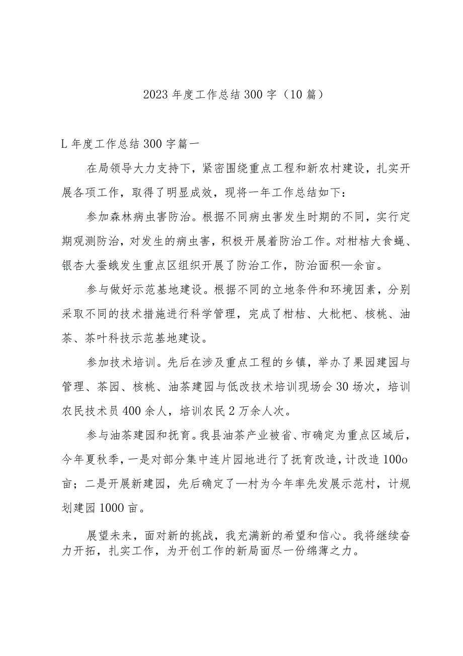 2023年度工作总结300字（10篇）.docx_第1页