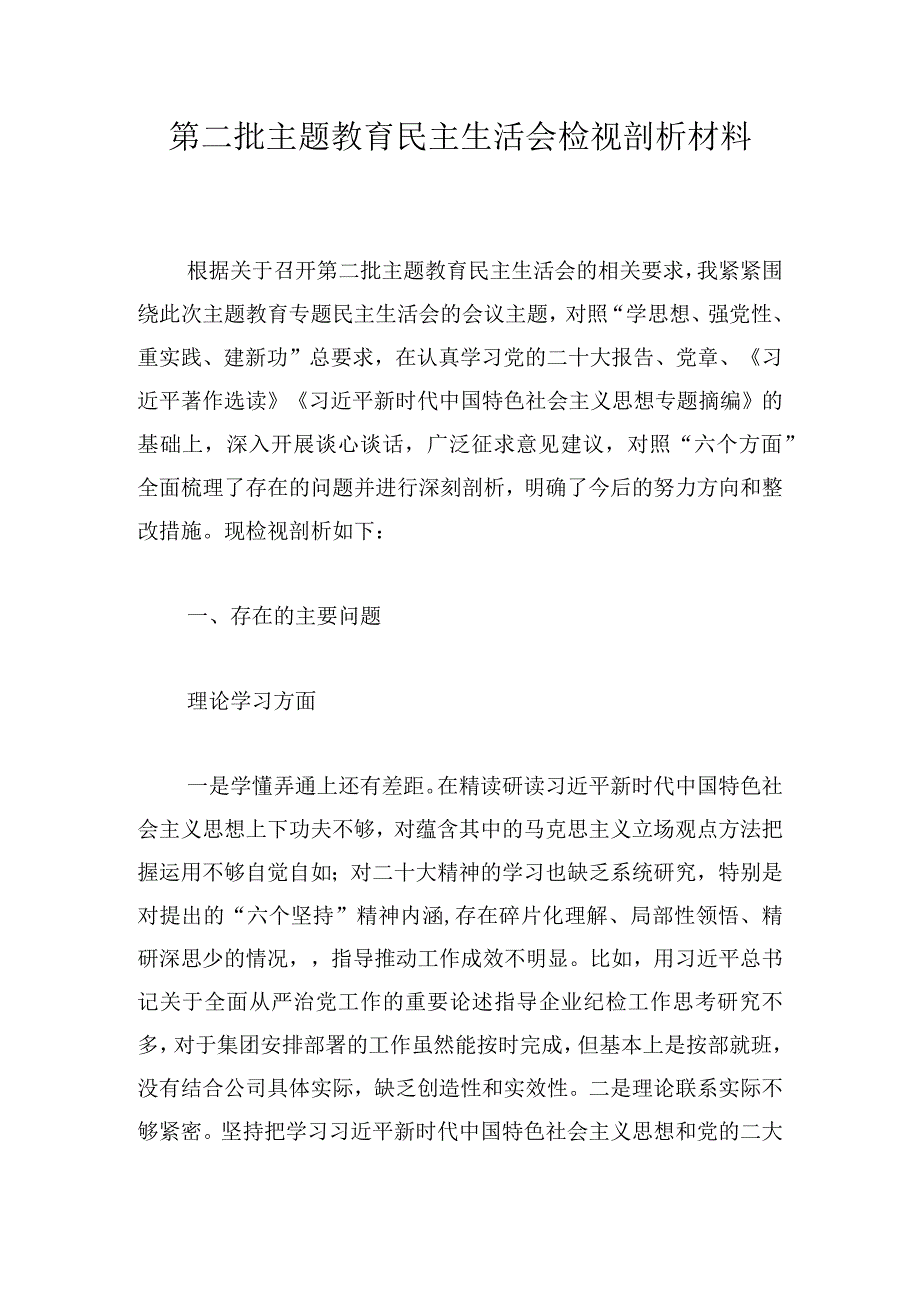 第二批主题教育民主生活会检视剖析材料.docx_第1页