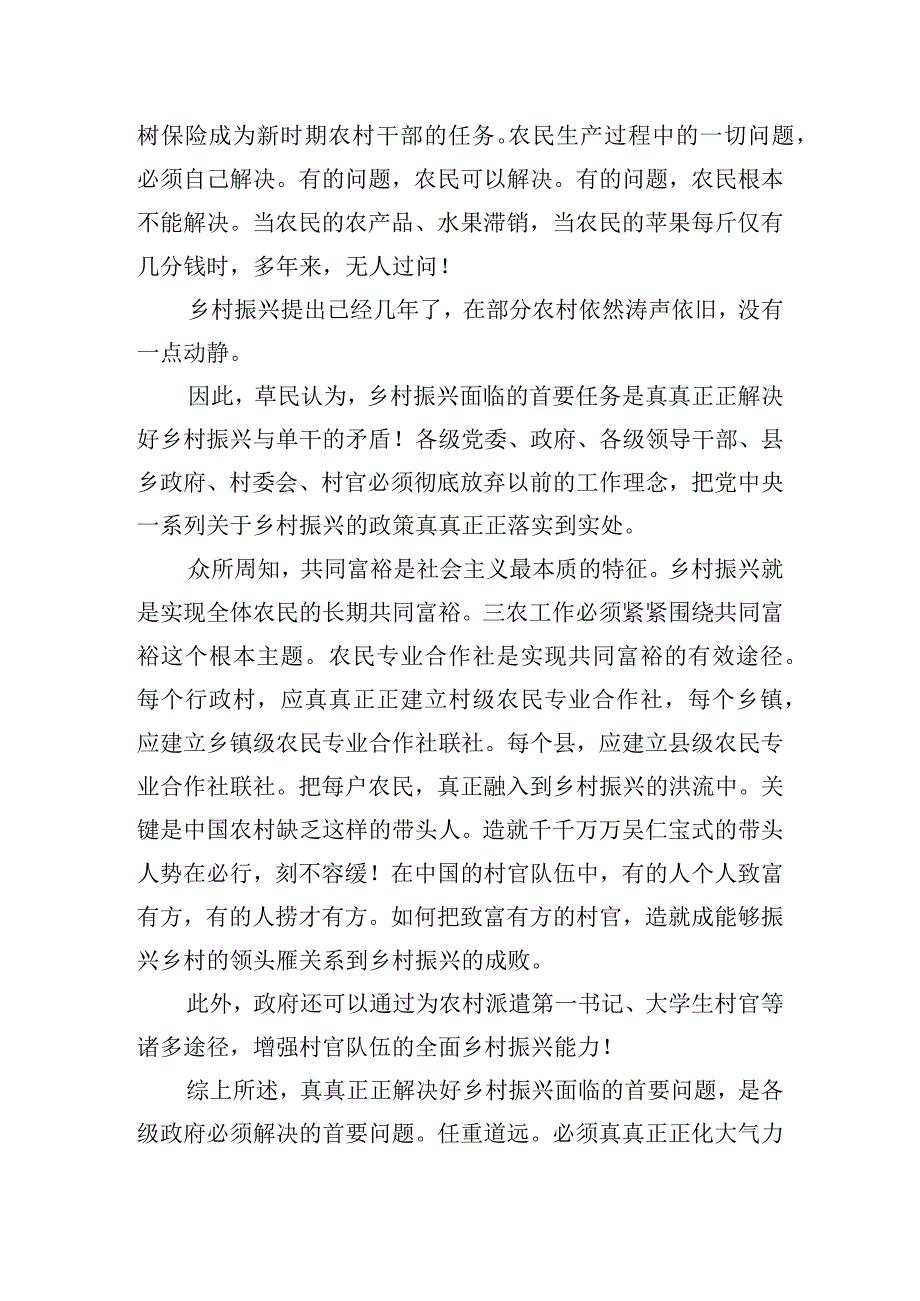 村委会干部乡村振兴心得体会五篇.docx_第3页