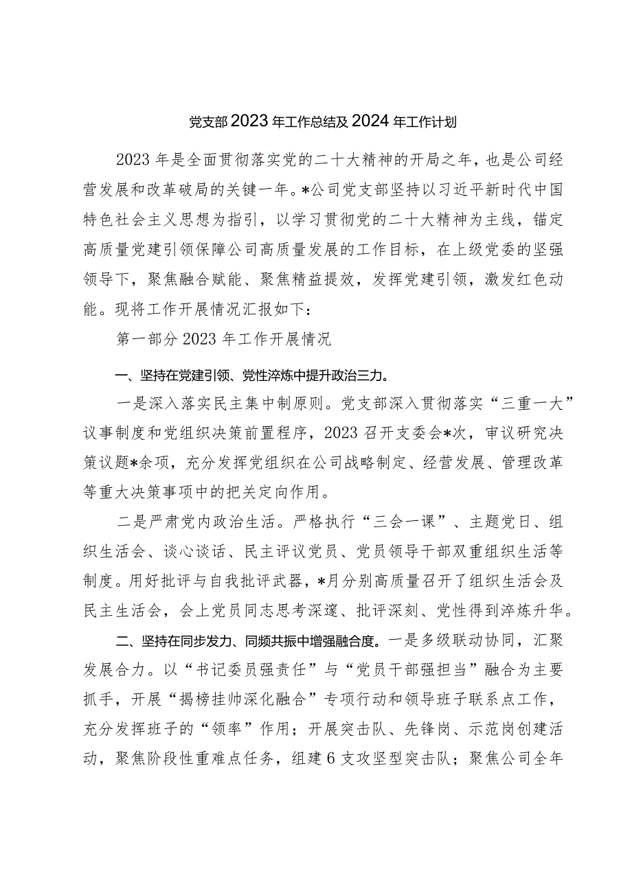 2篇公司党支部2023年工作总结及2024年工作计划（党建总结）.docx_第1页