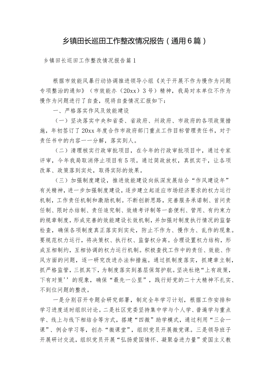 乡镇田长巡田工作整改情况报告(通用6篇).docx_第1页