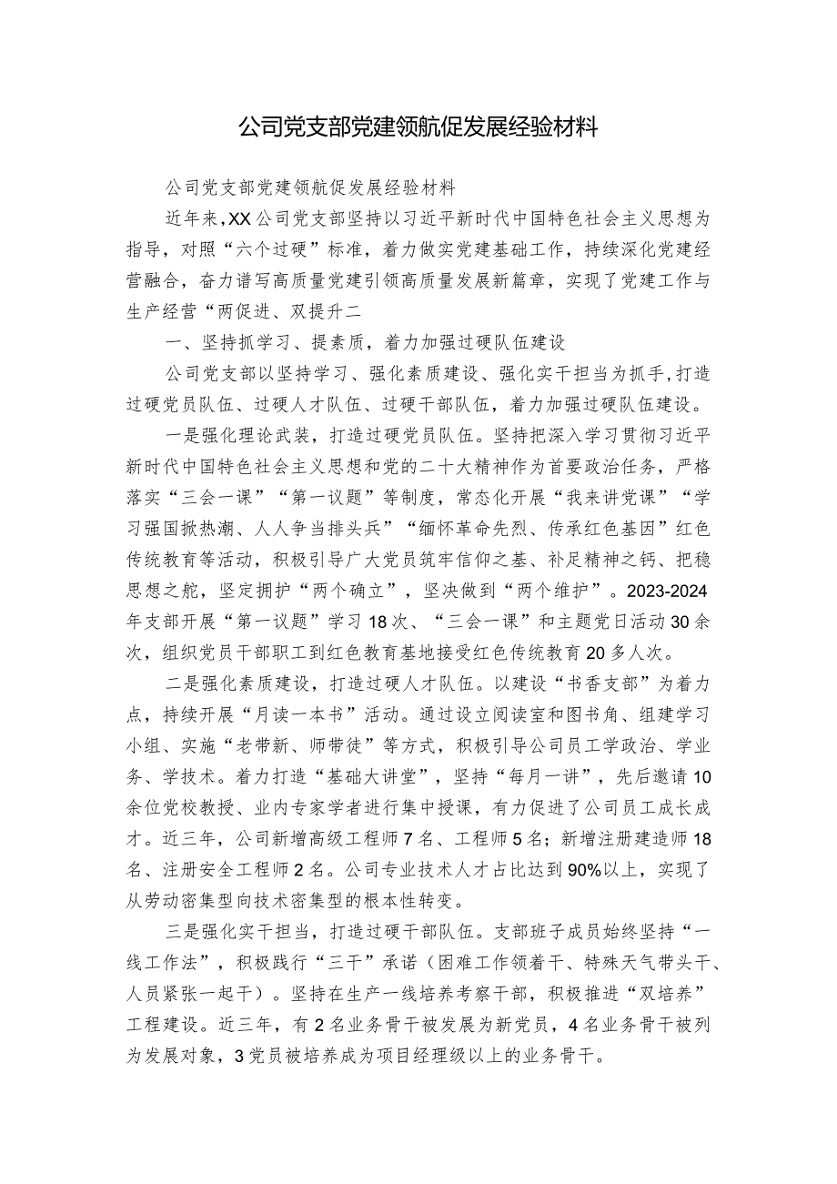 公司党支部党建领航促发展经验材料.docx_第1页