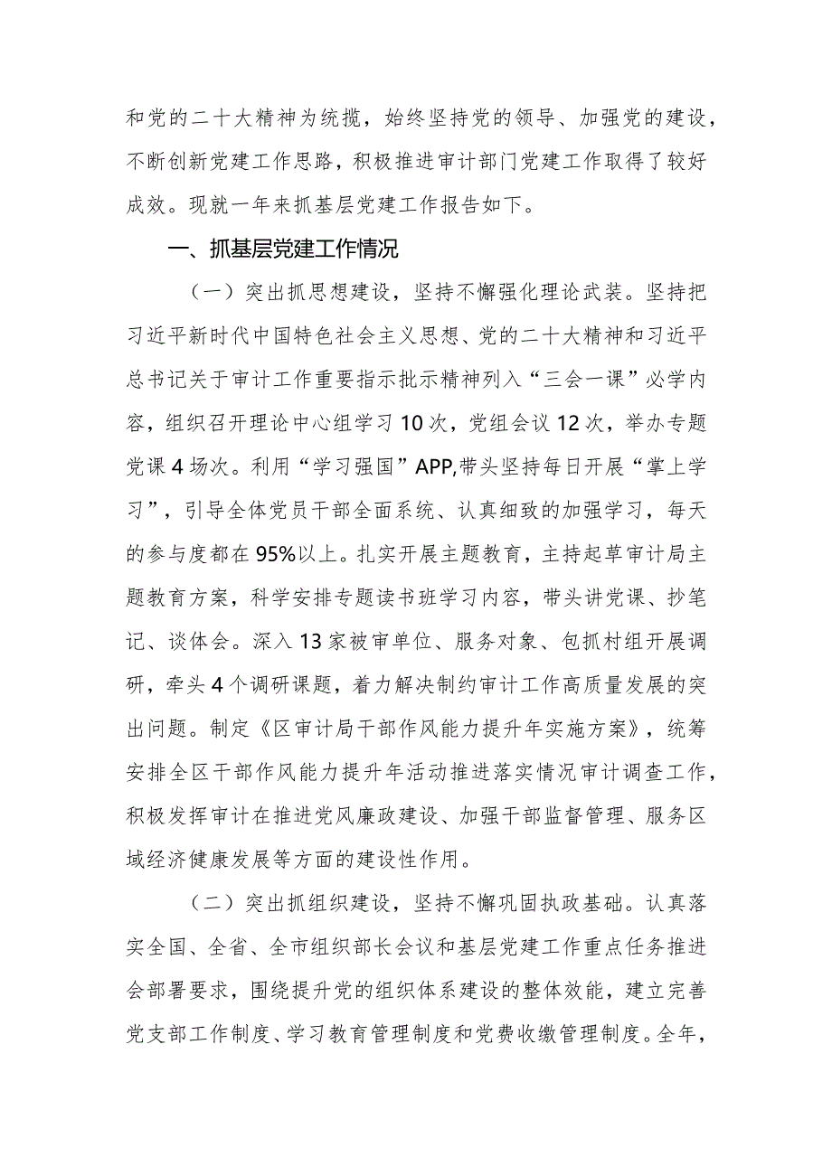 区县审计局党组书记2023年抓党建工作述职报告.docx_第2页