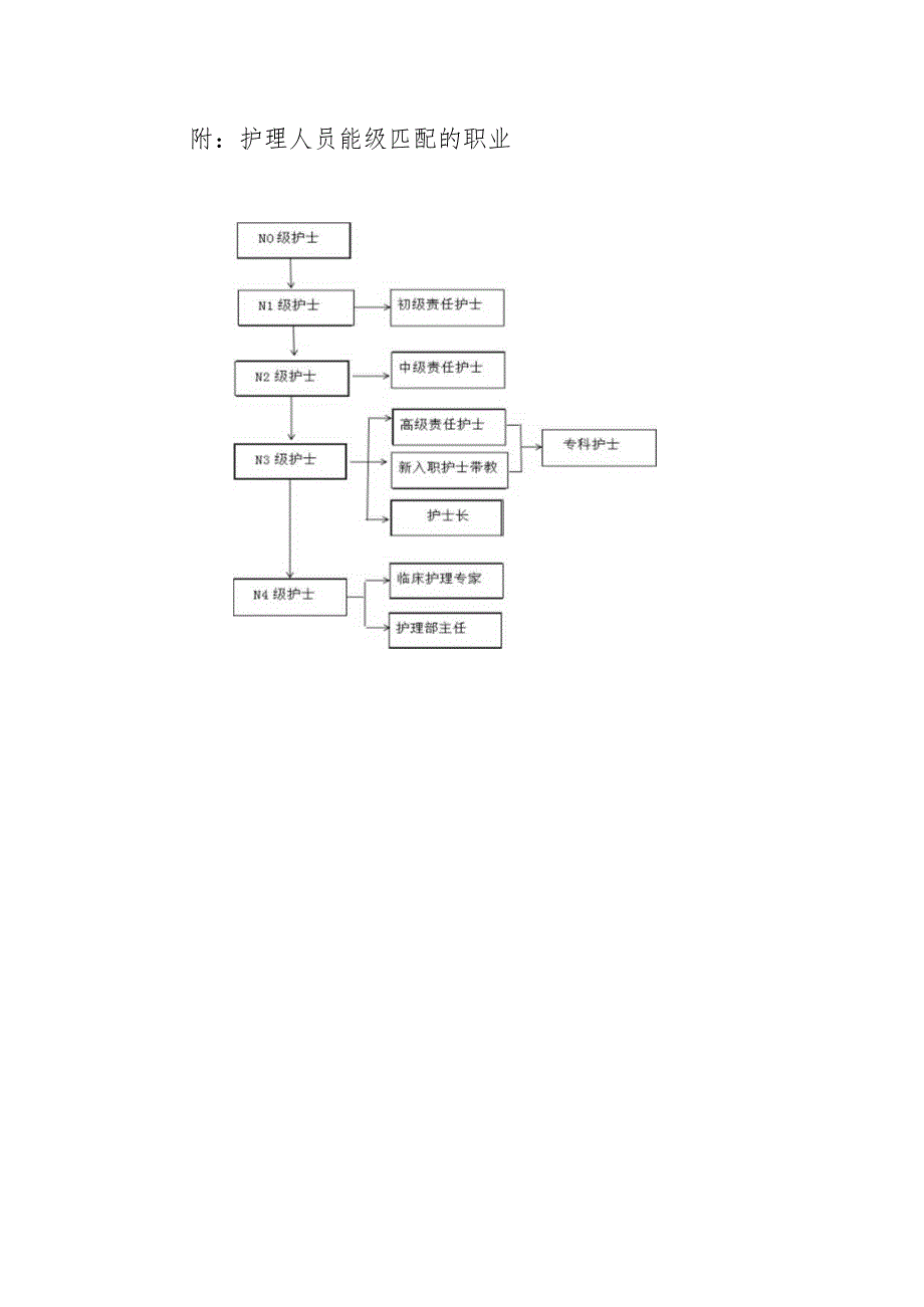 护士分层管理制度.docx_第3页