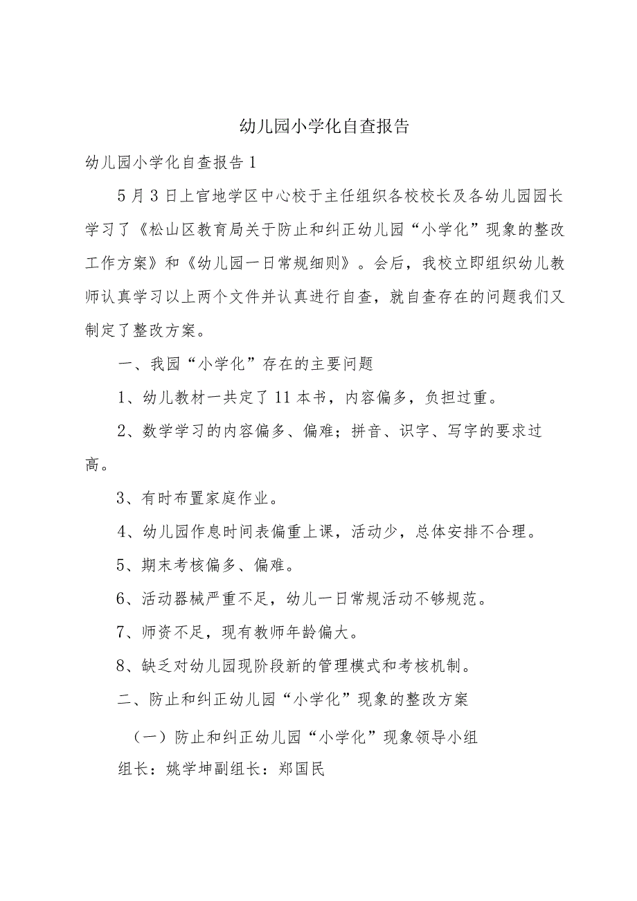 幼儿园小学化自查报告.docx_第1页