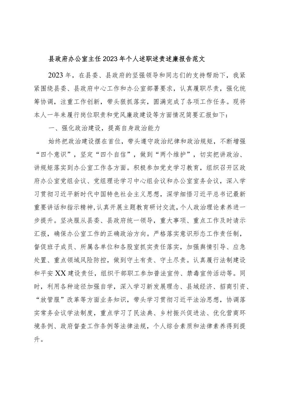 县政府办公室主任2023年个人述职述责述廉报告工作总结汇报.docx_第1页