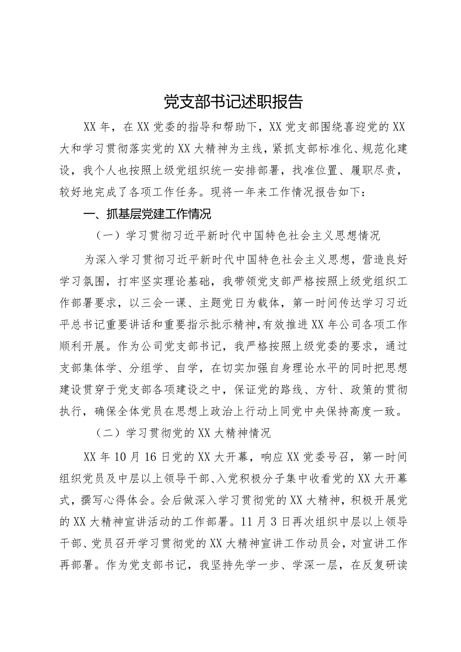 党支部书记述职报告.docx_第1页