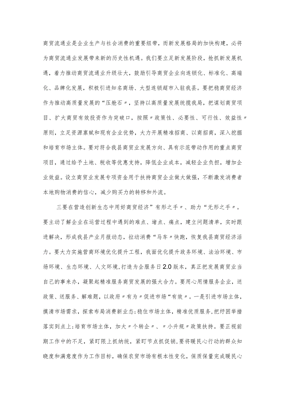 副县长在全县商贸经济发展促进会上的讲话.docx_第2页