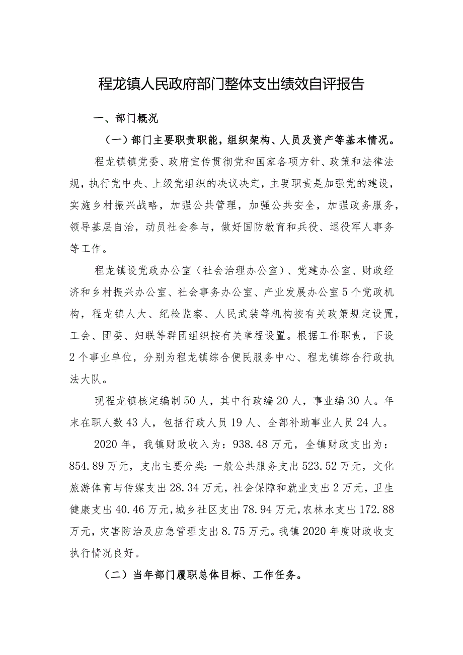 程龙镇人民政府部门整体支出绩效自评报告.docx_第1页