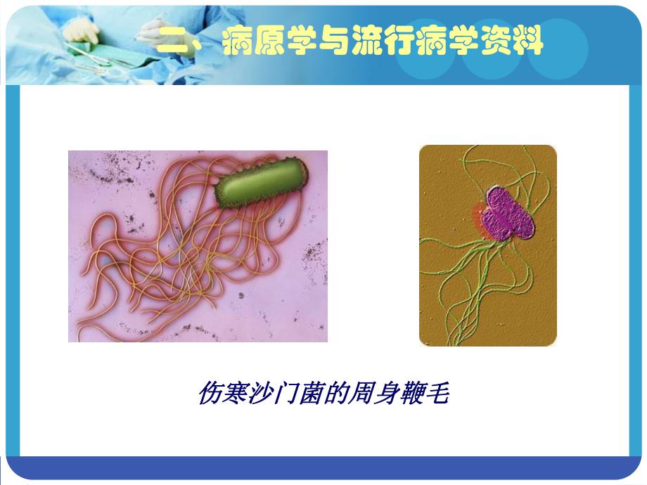 伤寒霍乱病人的护理.ppt_第3页