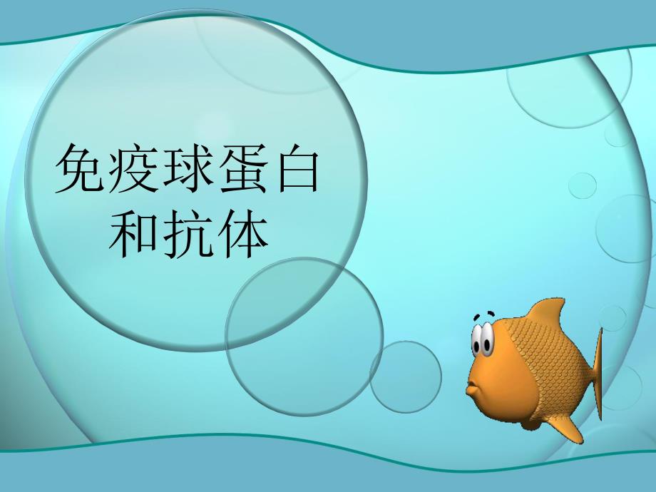 免疫球蛋白.ppt.ppt_第2页