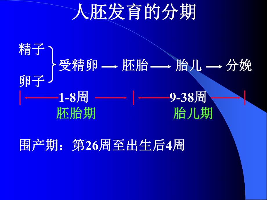 人体胚胎学总论.ppt.ppt_第2页