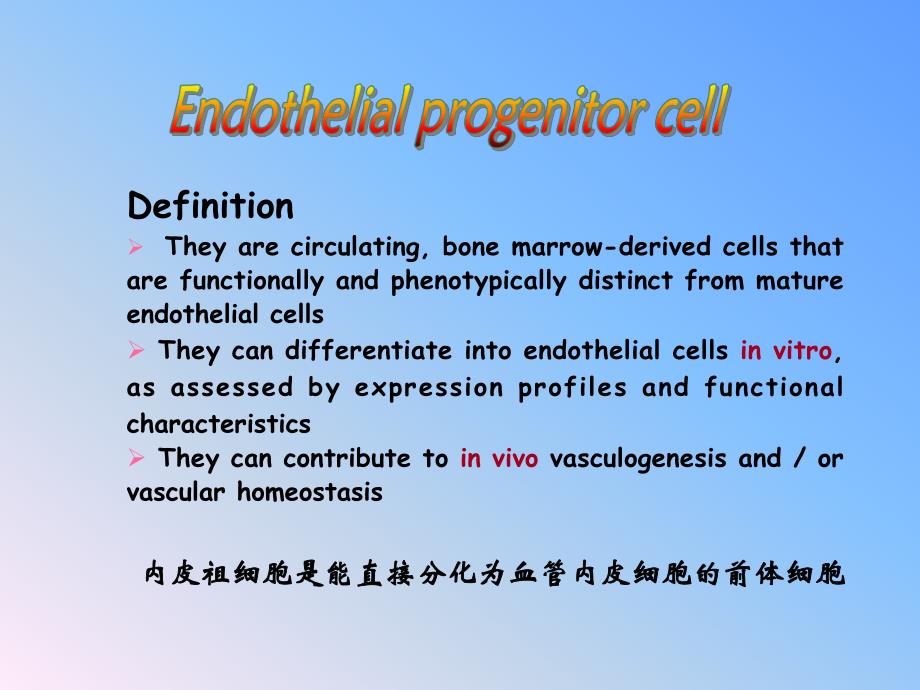 内皮祖细胞的研究进展.ppt_第2页