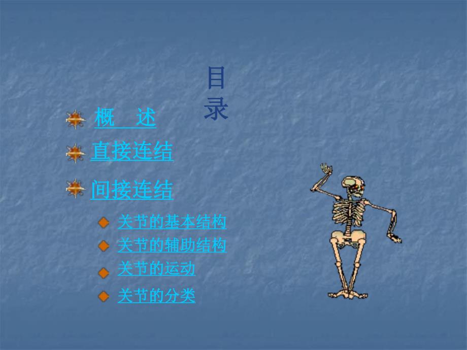 人体解剖学骨连结.ppt_第3页