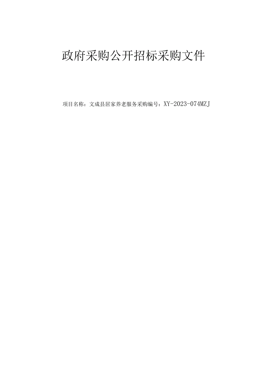 居家养老服务招标文件.docx_第1页