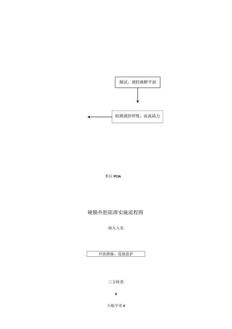 各种麻醉操作流程图.docx_第3页