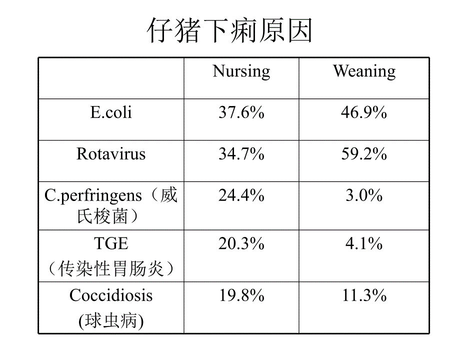 仔猪肠病及预防.ppt_第1页