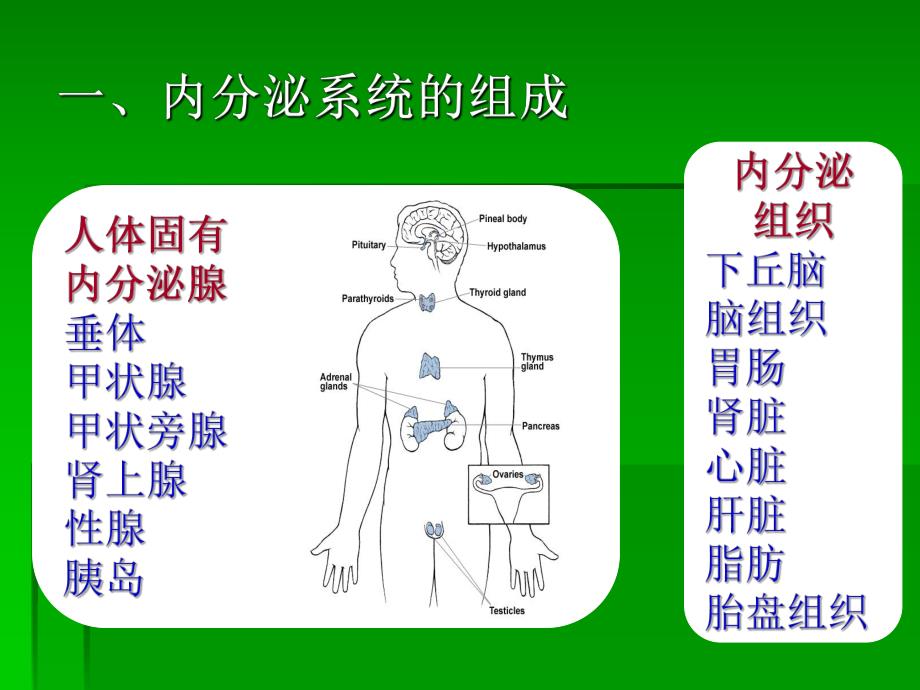 内分泌及代谢疾病常见症状与体征PPT演示文稿.ppt_第2页