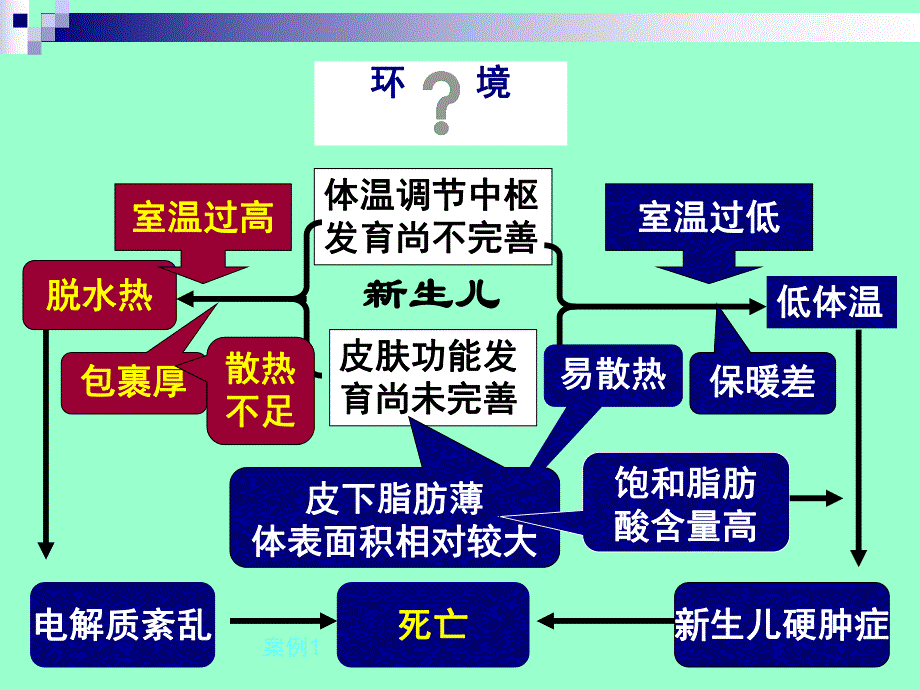 儿童青少保健与护理.ppt_第2页