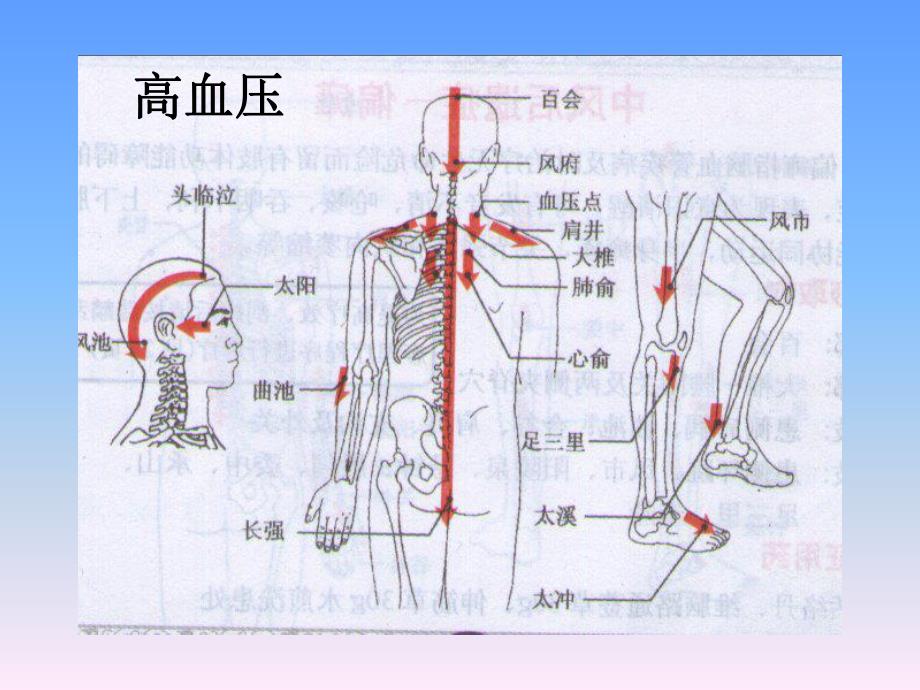 刮痧疗法图片演示.ppt_第3页