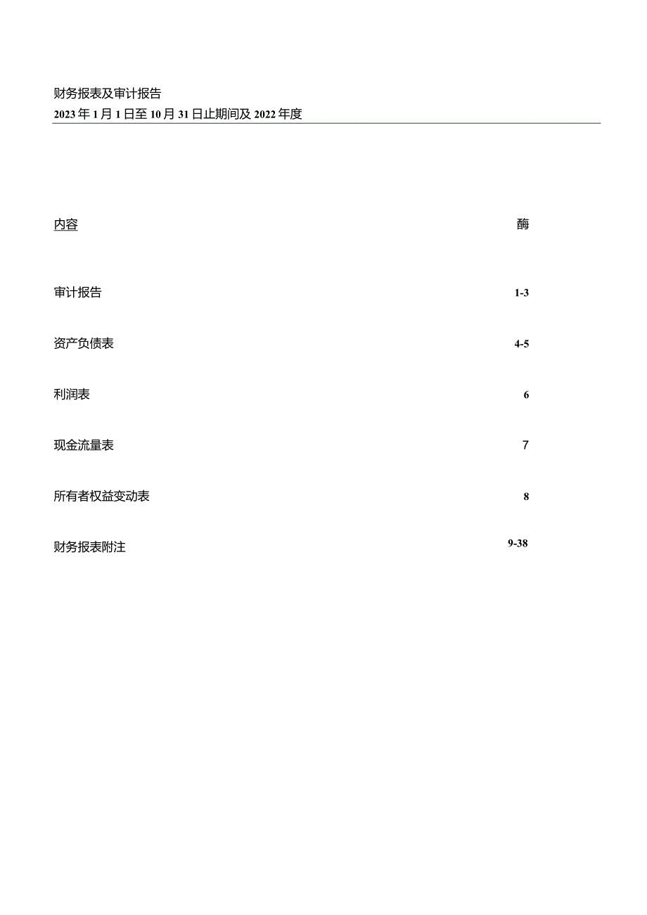 中洲控股：青岛市联顺地产有限公司审计报告.docx_第2页