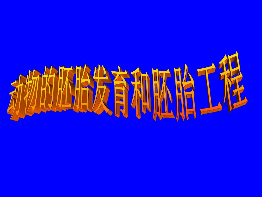 动物的胚胎发育和胚胎工程.ppt_第1页