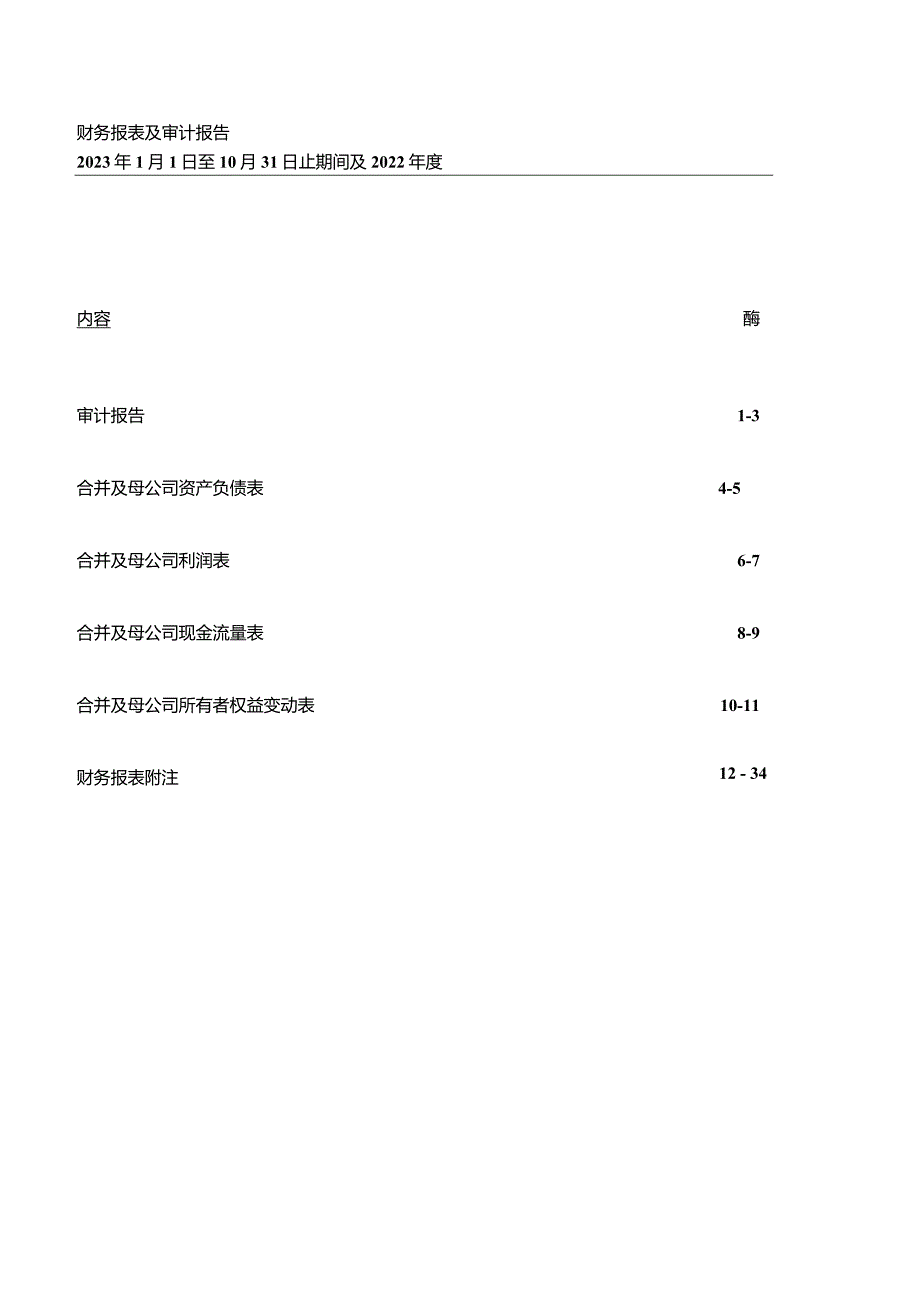 中洲控股：青岛市中洲地产有限公司审计报告.docx_第2页